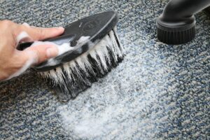 ​**CARPET CLEANING (COMING SOON)** Professional carpet cleaning by Easy step will keep your carpets looking like new and, more importantly, keep you healthy. The indoor air quality is improved by the cleaning procedure, which gets rid of allergies, bacteria, insects, oil, filth, and grime.