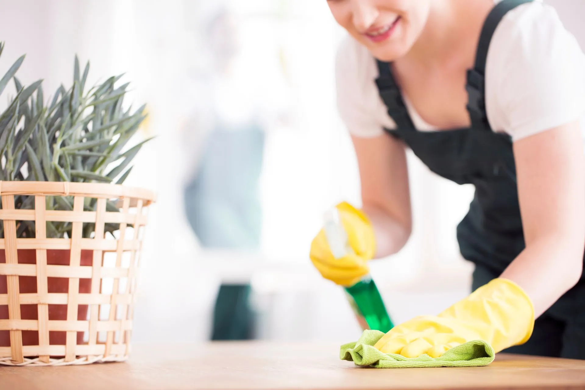 Since 2019, Easy Step Cleaning has proudly served the Metro Vancouver area as a family-owned business. In addition, we are dedicated to delivering excellent residential and commercial cleaning services with a strong focus on eco-friendly practices and transparent communication. Consequently, our commitment to quality and sustainability sets us apart in the industry.